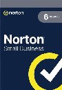 NORTON SMALL BUSINESS ND 2.0 250GB 1 uživatel 6 zařízení  na 12 měsíců BOX