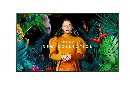 Samsung   65"  Crystal UHD Signage QM65C